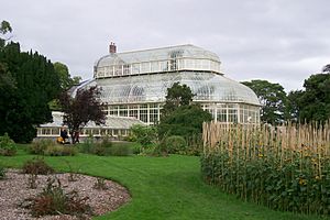 Palm House Dublin