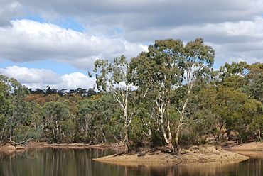 Para Wirra Park - Lake and Island.JPG