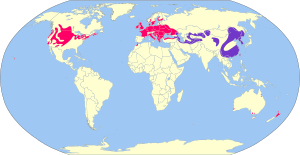 Phasianus colchicus map.svg