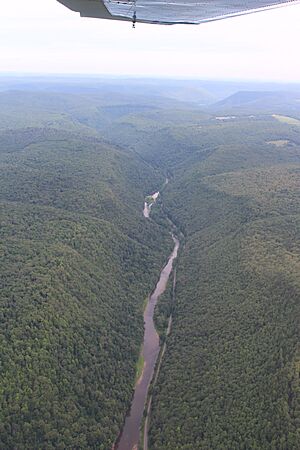 Pine-creek-gorge-aerial-3