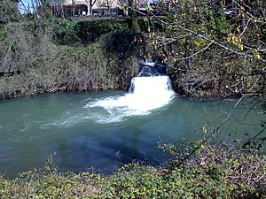 Pringle Creek (Oregon).jpg