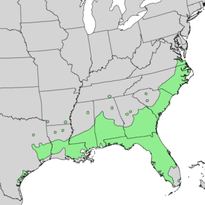 Quercus laurifolia range map 1.png