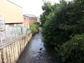 River Spen.jpg