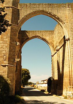 Ruinas del convento de San Anton en Castrojeriz