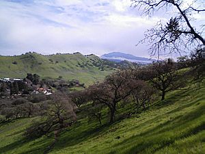 Shell Ridge Open Space