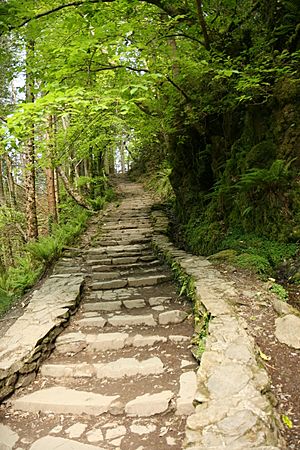 Steps on Torc Waterfall Kerry