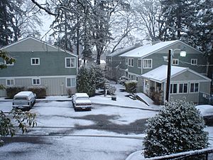 Sunnyslope salem oregon snow