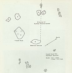 T-Rock area survey