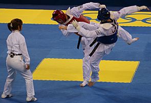 Taekwondo Fight