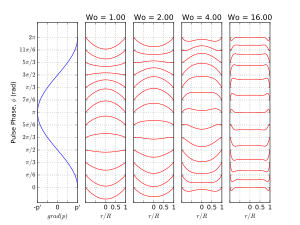 Womersley Flow Profile