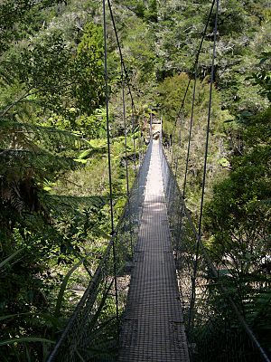 Abeltasmannp swingbridge