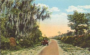 AndersonHighwayFlorida