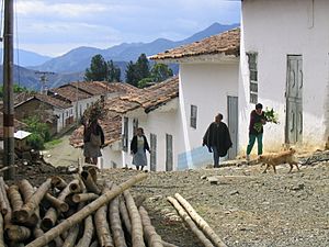 CALLE EL ROSAL CAUCA.jpg