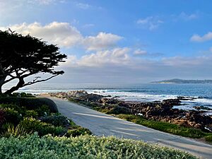 Carmel Point at Scenic Road