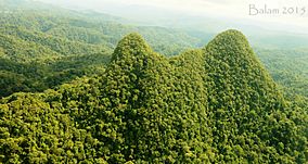 Cerro Chachahuate.jpg