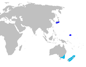 Cirrhigaleus barbifer and australis distmap.png