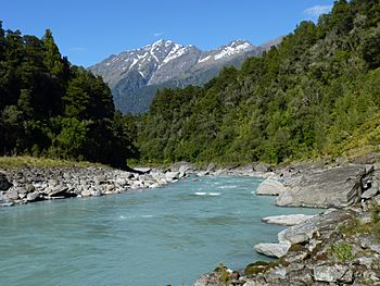 Copland Track, New Zealand (45).JPG