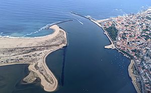 Douro estuary