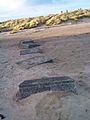 Druridge anti-tank blocks