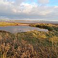 East Mersea Blockhouse 02