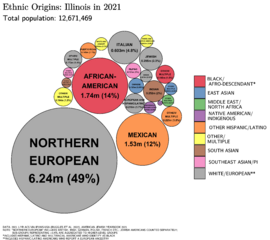 Ethnic Origins in Illinois