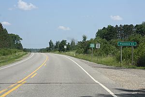 Florence County Wisconsin Sign Town of Homestead