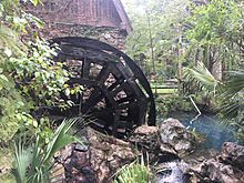 Juniper Springs Florida