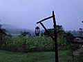 Lantern in Rural Chhattisgarh, India