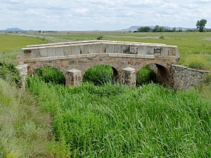 Masegoso - Puente romano.jpg