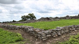 Mission Rosario Ruins.jpg