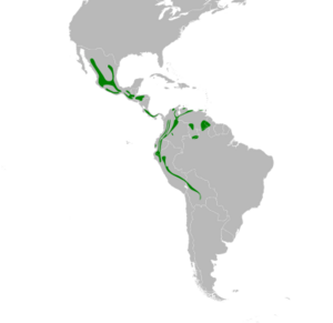 Myioborus miniatus map.svg