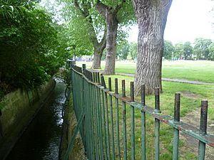 Norbury Brook 2