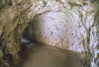 Pt bonita tunnel