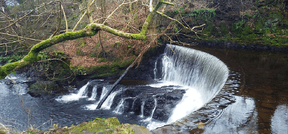 River Calder upstream Lochwinnoch.png