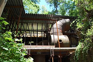 Roswell Mill ruins