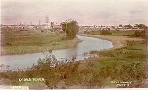 SLNSW 796183 Cooks River Campsie