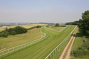 Salisbury racecourse