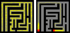 Slime mold solves maze