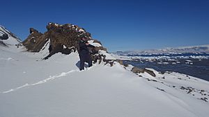 Snow Hill Island dike