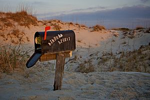 Special Delivery on Bird Island