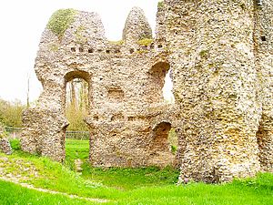 St Johns castle Odiham 5