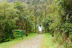 Start of Hollyford Track