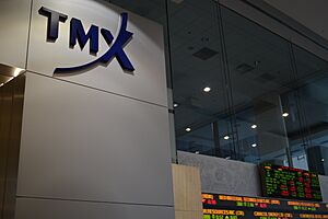 TMXGroup