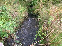 The Bannoch Burn at Goldcraigs