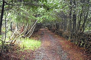 Trail Ministers Island