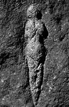 Venus of Abri Pataud