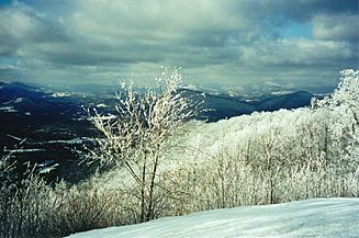 Western View From Woody's Knob