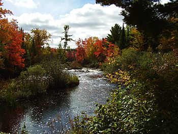 WillowRiverOneidaCtyWis-2014-09-21.JPG