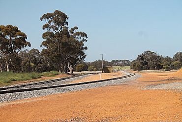 Yilliminning railway yard 2013.jpg