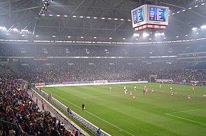 080110 schalke arena germany